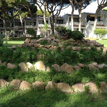 Buganvilia Apartment Praia Da Falesia Albufeira Eksteriør billede