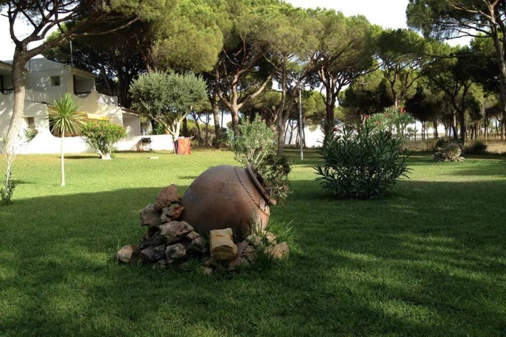 Buganvilia Apartment Praia Da Falesia Albufeira Eksteriør billede
