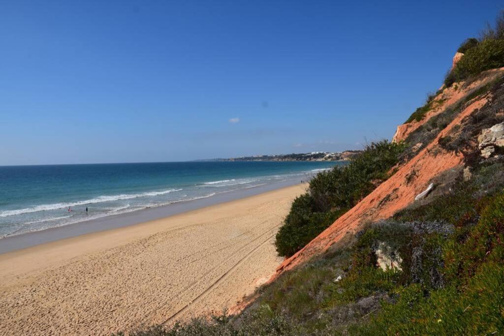 Buganvilia Apartment Praia Da Falesia Albufeira Eksteriør billede