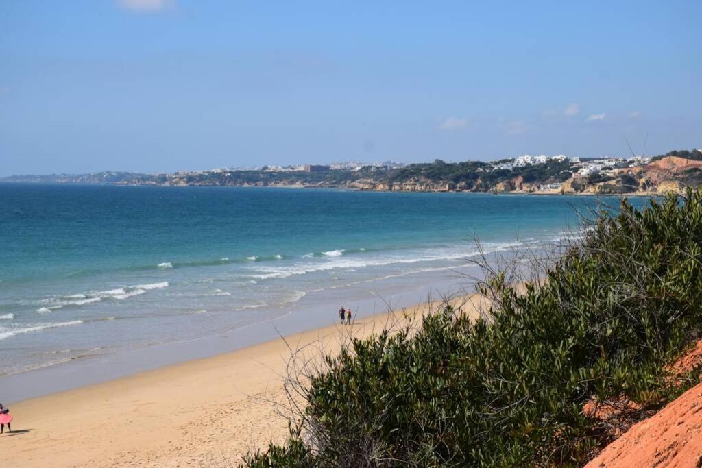 Buganvilia Apartment Praia Da Falesia Albufeira Eksteriør billede